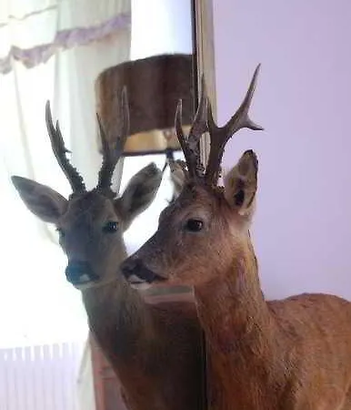 Stella Cadente 3* Provins