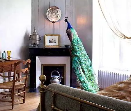 Maison Stella Cadente, Artistique Et Jardin A 3*