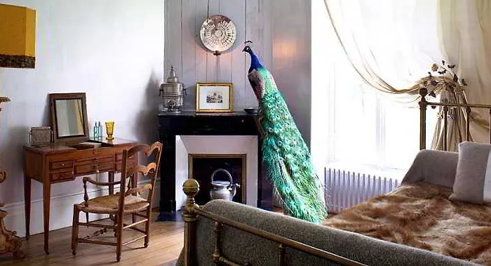 Maison Stella Cadente, Maison D'Hotes Artistique Et Jardin A Provins 3*