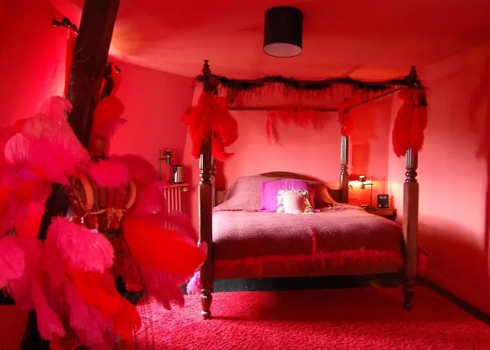 Frühstückspension Maison Stella Cadente, Maison D'Hotes Artistique Et Jardin A Provins 3*
